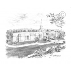 Palmyra New York Temple Recommend Holder