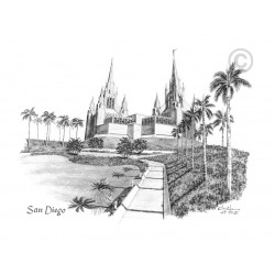 San Diego California Temple Recommend Holder