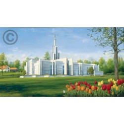 The Hague Netherlands Temple Recommend Holder